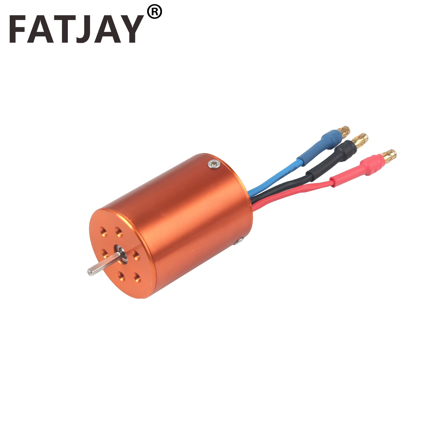 FATJAY 2838-2800KV 3800KV RC H - Rc Hobby Grade Car 评论和价格