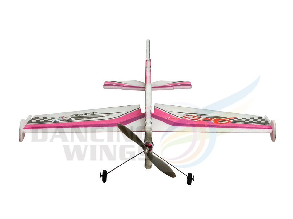 DW Hobby Foam EPP Airplane YAK - Rc Hobby Plane 评论和价格