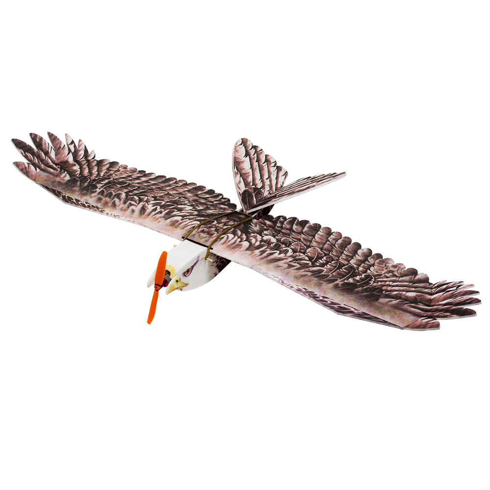 DW Hobby Eagle II EPP Airplane - Rc Hobby Plane 评论和价格