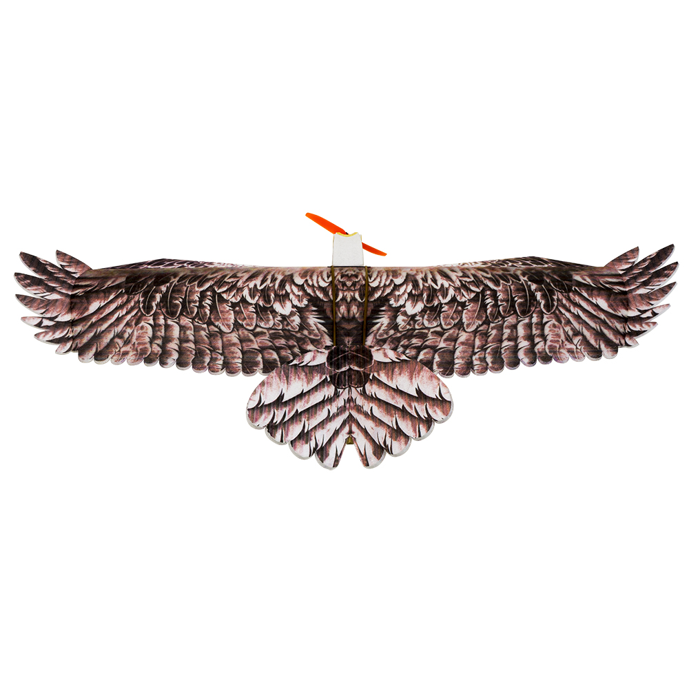 DW Hobby Eagle II EPP Airplane - Rc Hobby Plane 评论和价格
