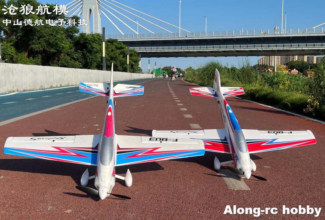F803  F3A Skylarks 1000mm Wing - Rc Hobby Plane 评论和价格