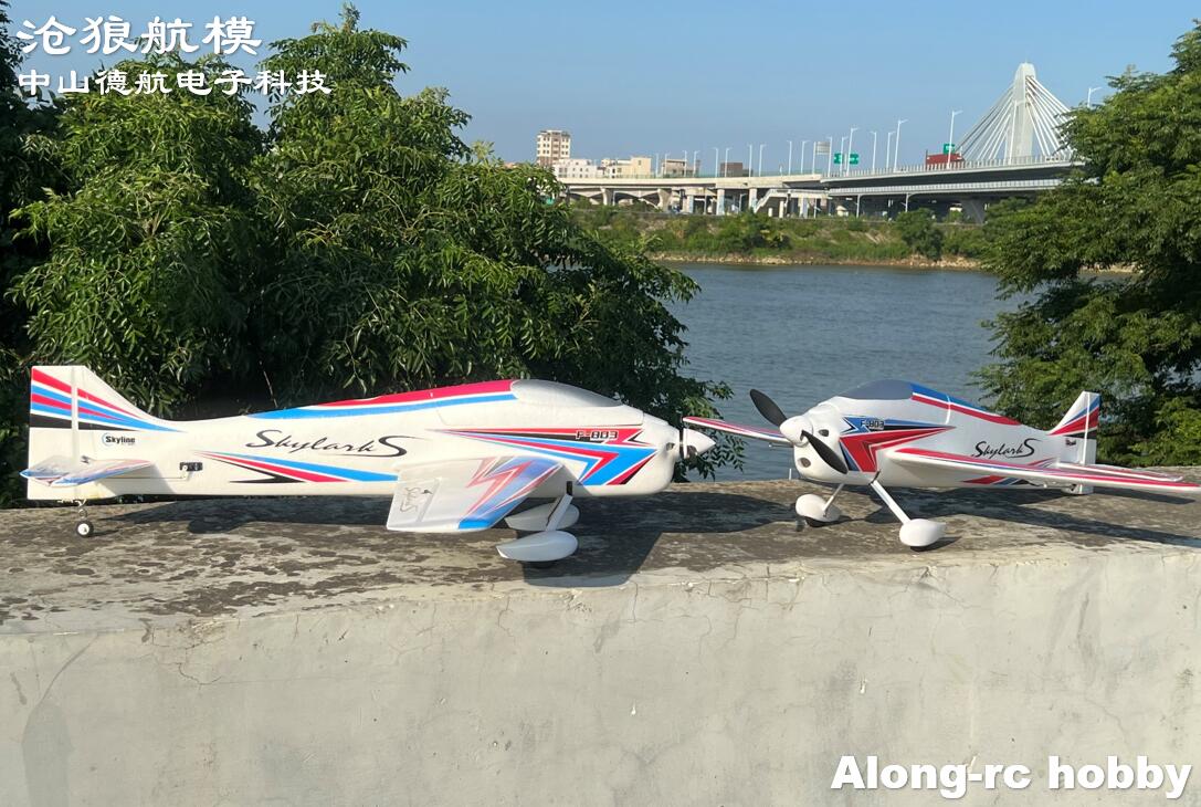 F803  F3A Skylarks 1000mm Wing - Rc Hobby Plane 评论和价格
